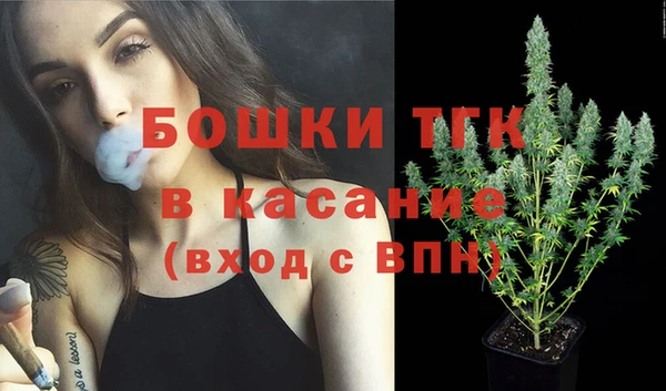 сатива Бугульма