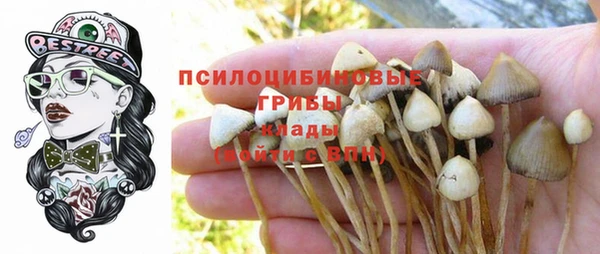 сатива Бугульма