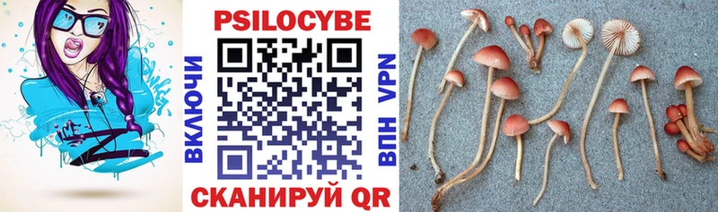 Купить  Лангепас  Галлюциногенные грибы Psilocybe 